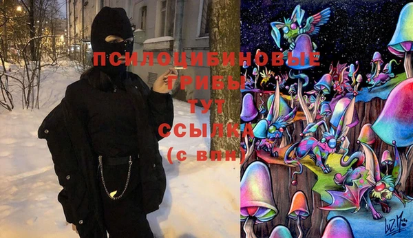 гидра Алексин