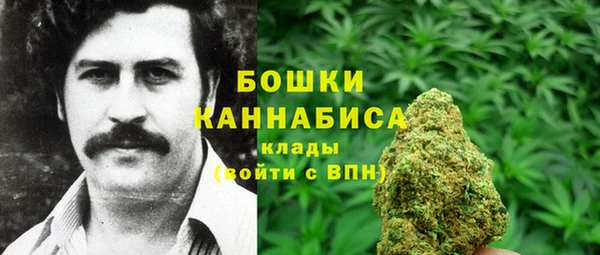 гидра Алексин