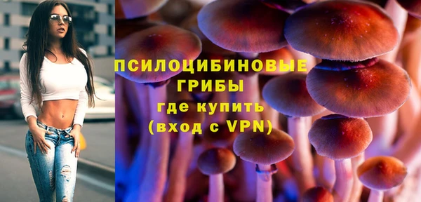 MESCALINE Алзамай