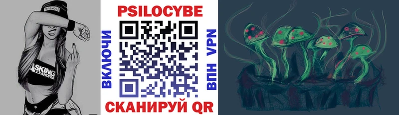 Купить  Талица  Псилоцибиновые грибы мухоморы 