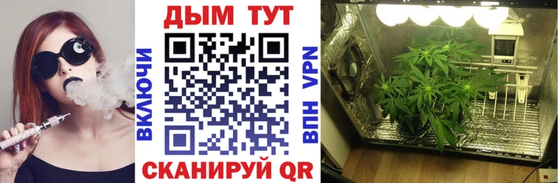 Конопля марихуана  Купить где  Талица 